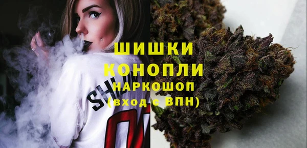 стаф Протвино