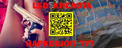 крисы Славгород