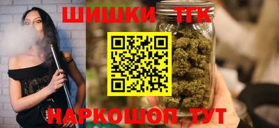 крисы Славгород