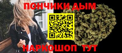 крисы Славгород