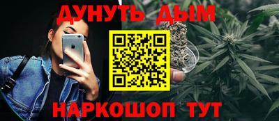крисы Славгород