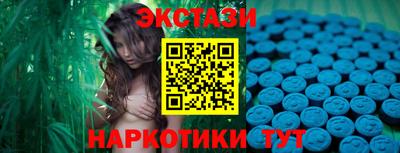 крисы Славгород