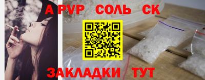 крисы Славгород