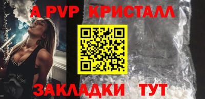 крисы Славгород