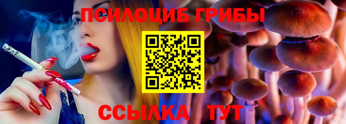 Псилоцибиновые грибы Cubensis  Вход с VPN  магазин  наркотиков  Родники 
